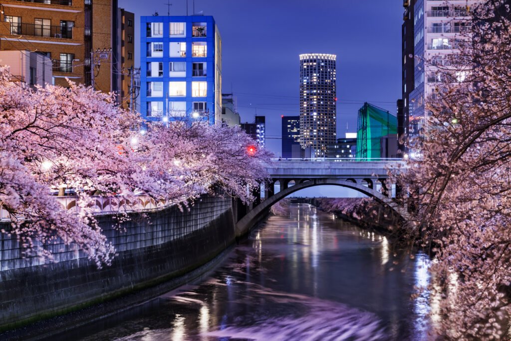 🏞️ 메구로 강 후나이리바 광장(메구로가와 후나이리바 프라자)